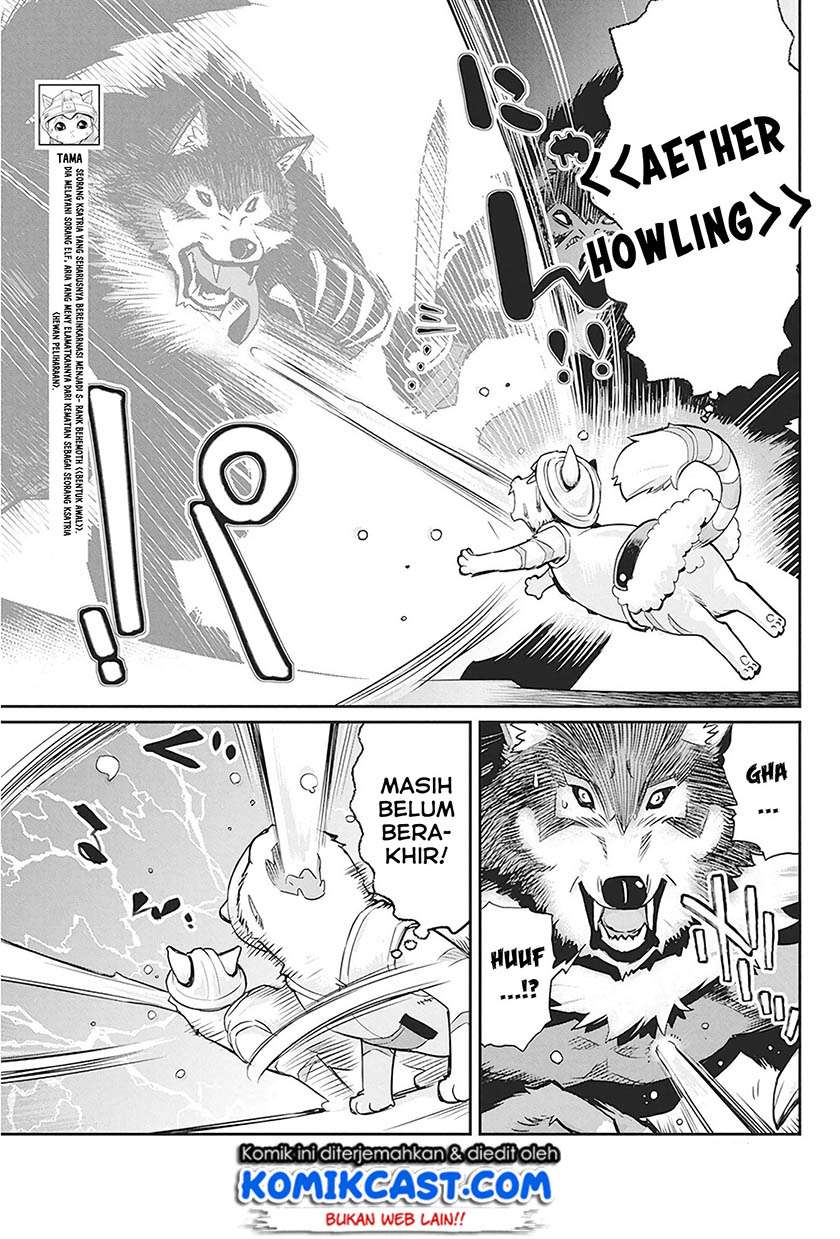 S-Rank Monster no Behemoth Dakedo, Neko to Machigawarete Erufu Musume no Kishi (Pet) Toshite Kurashitemasu Chapter 13 Gambar 8