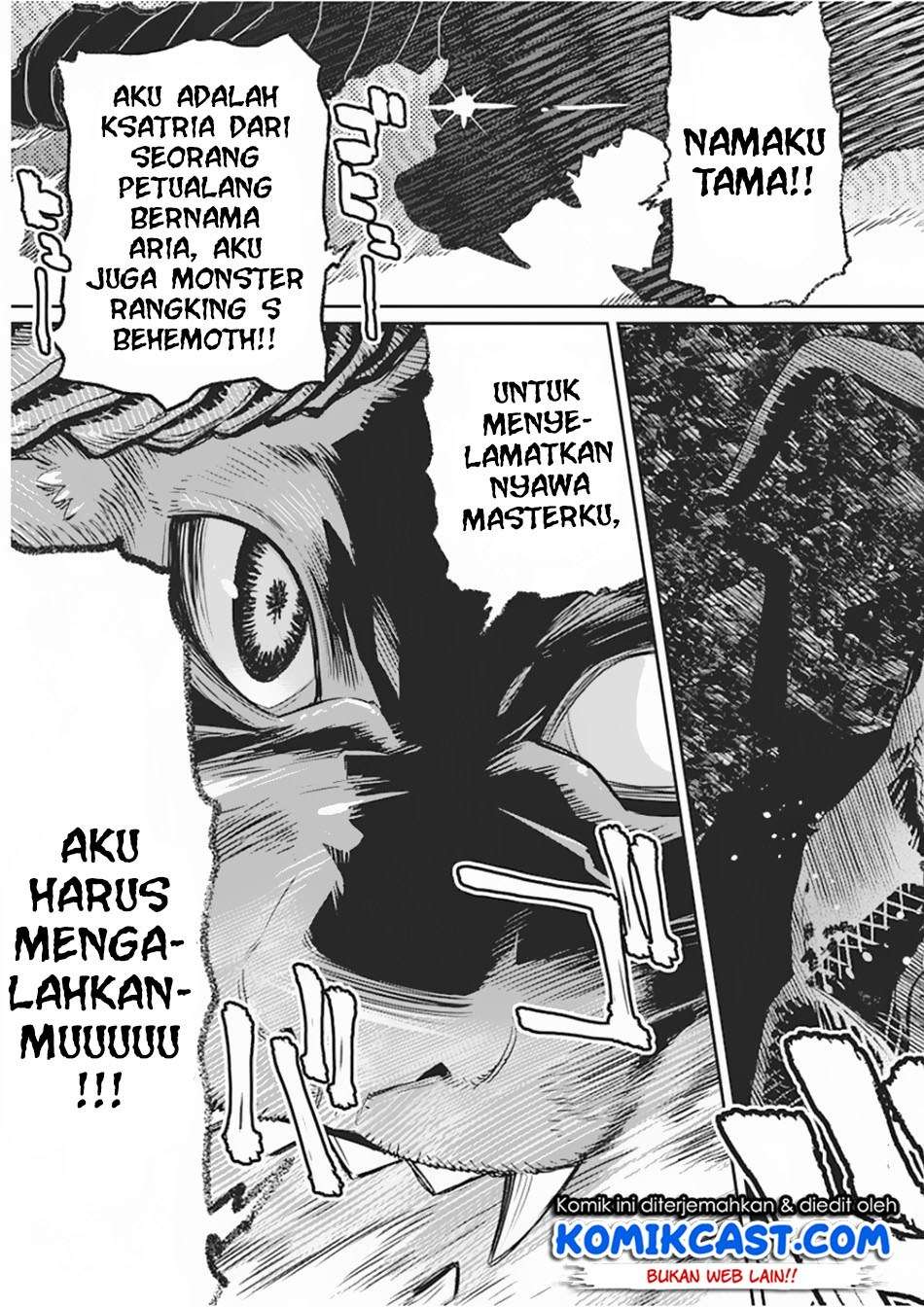 S-Rank Monster no Behemoth Dakedo, Neko to Machigawarete Erufu Musume no Kishi (Pet) Toshite Kurashitemasu Chapter 15 Gambar 14