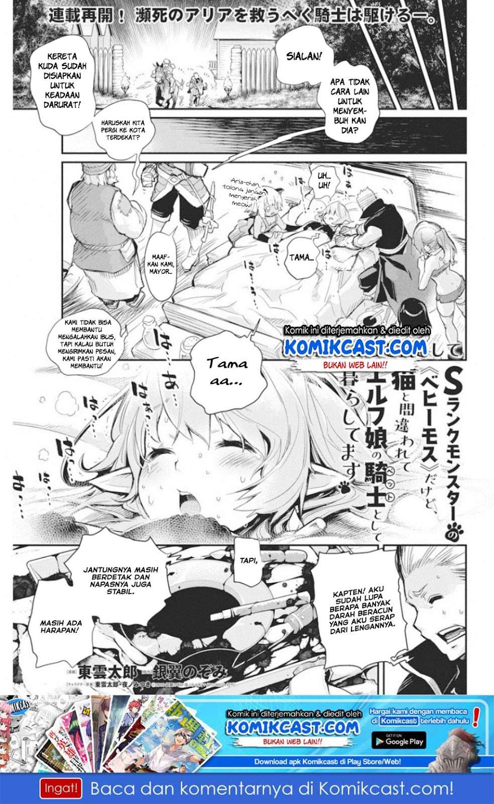 Baca S-Rank Monster no Behemoth Dakedo, Neko to Machigawarete Erufu Musume no Kishi (Pet) Toshite Kurashitemasu Chapter 16 Gambar 2