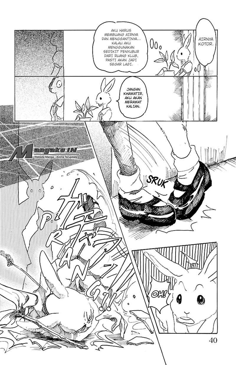 Beastars Chapter 18 Gambar 14