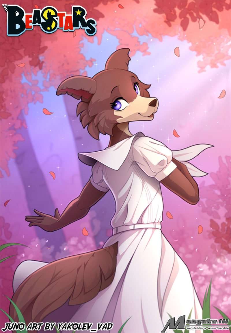 Beastars Chapter 21 Gambar 21