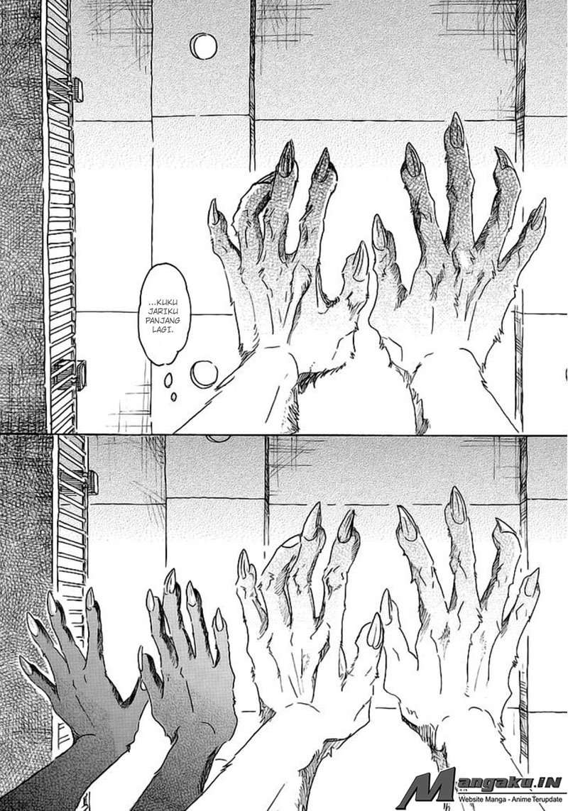 Beastars Chapter 27 Gambar 12