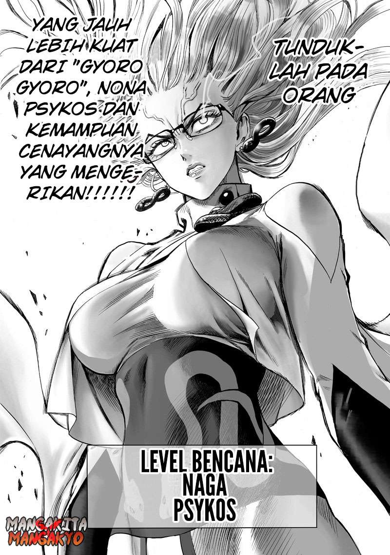 One Punch Man Chapter 176 18