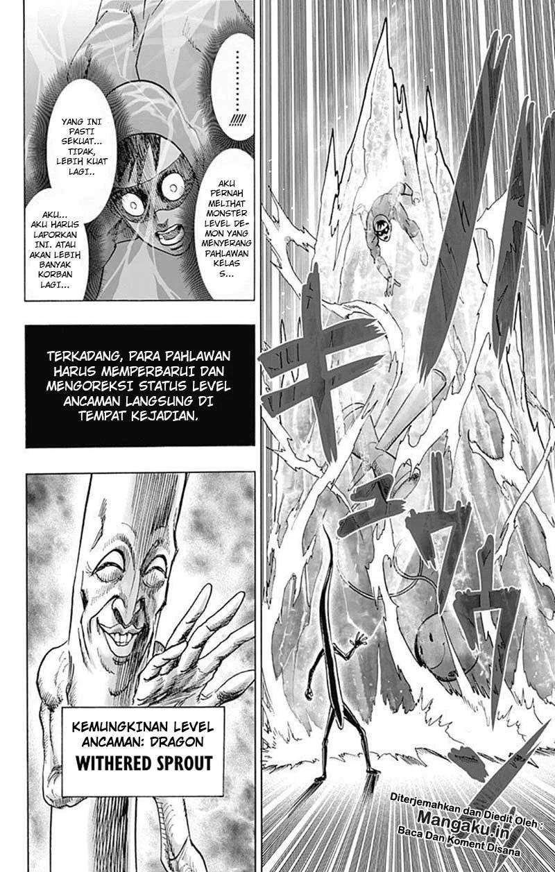 One Punch Man Chapter 176.5 12