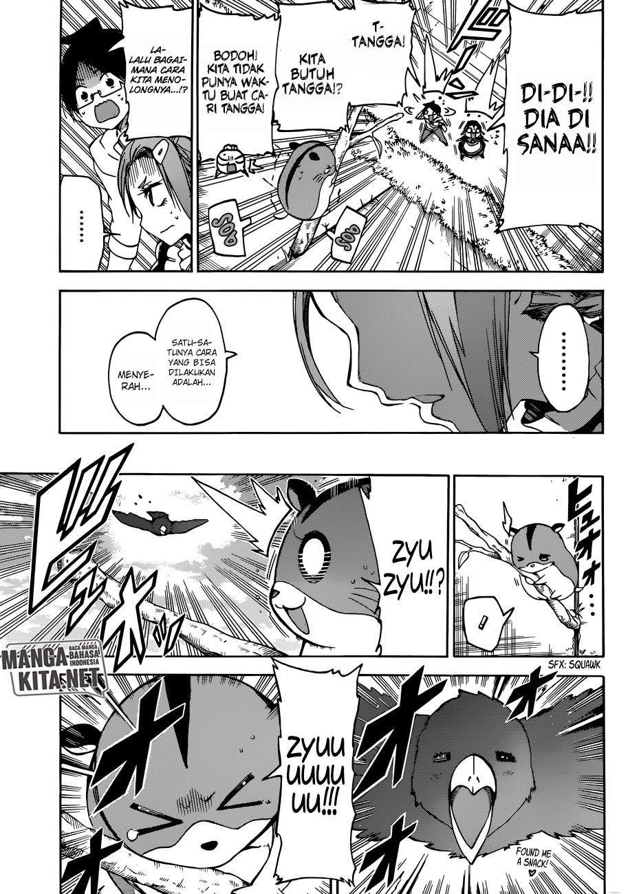 Bokutachi wa Benkyou ga Dekinai Chapter 71 Gambar 14