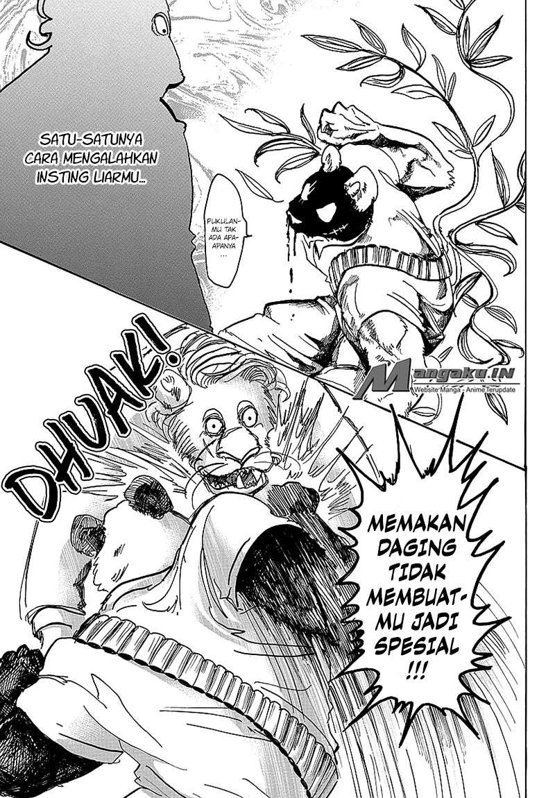 Beastars Chapter 39 Gambar 19