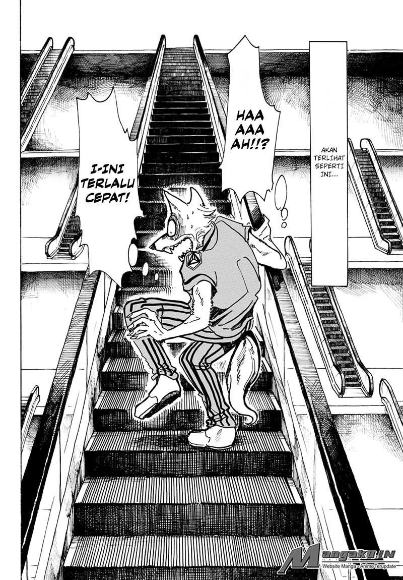 Beastars Chapter 43 Gambar 11