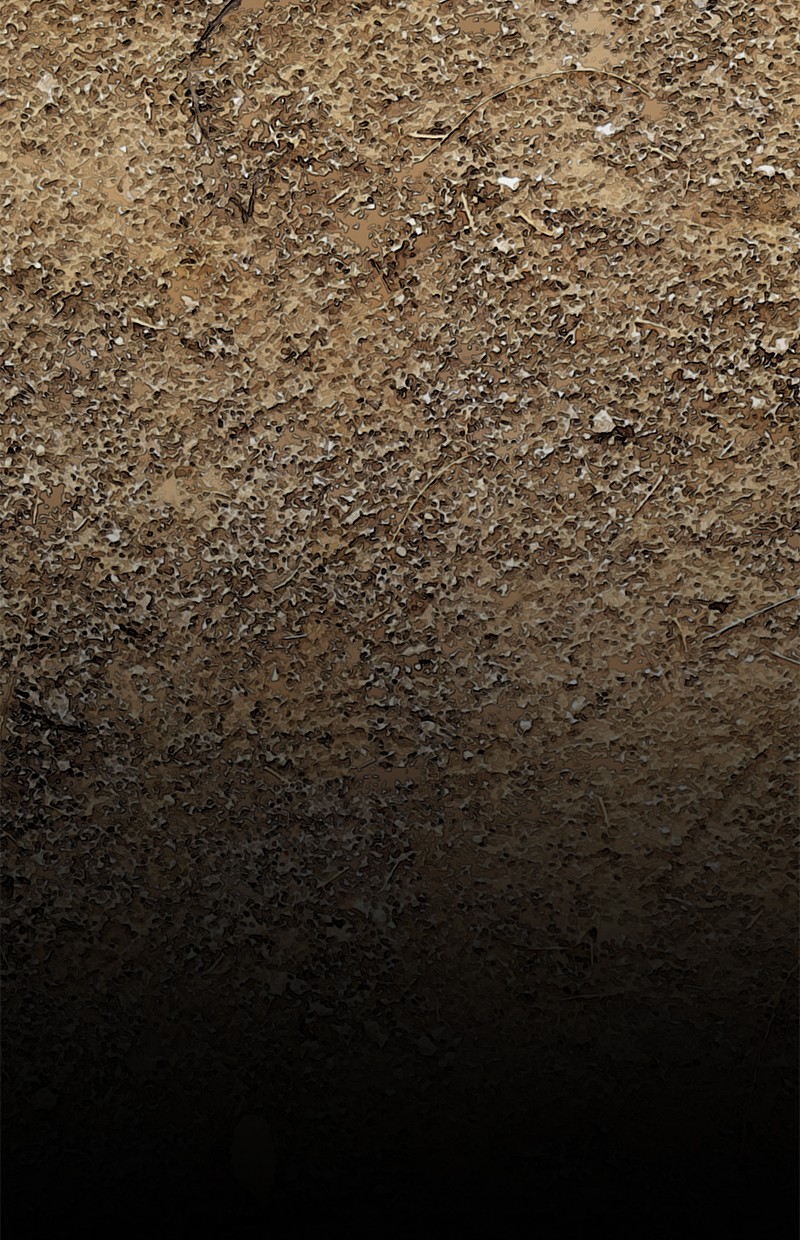 Dark Mortal Chapter 25 Gambar 36