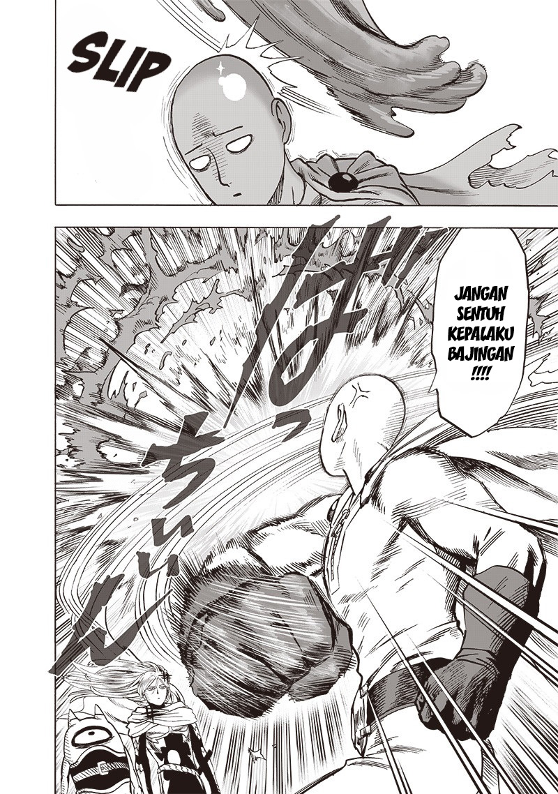 One Punch Man Chapter 179 21