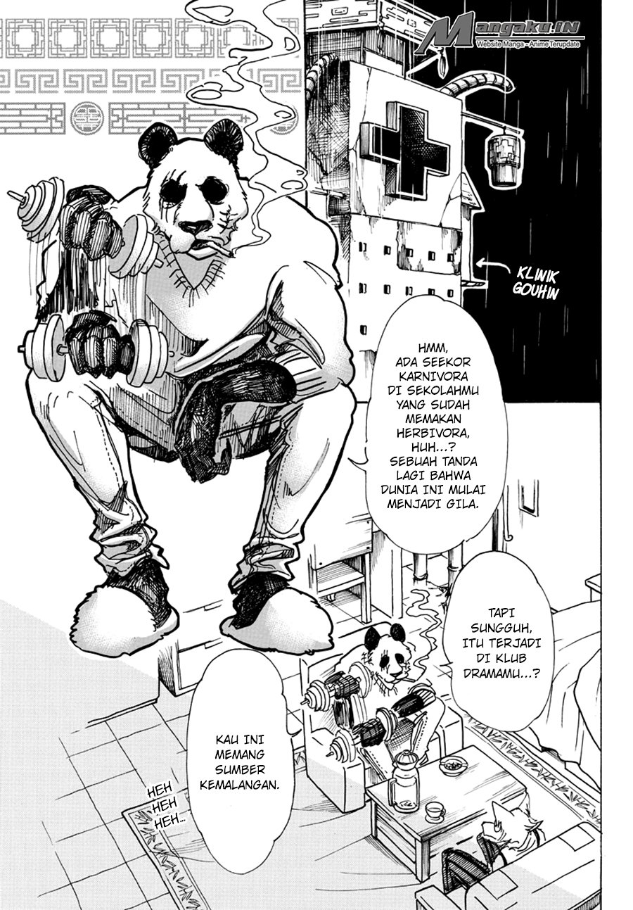 Beastars Chapter 62 Gambar 6