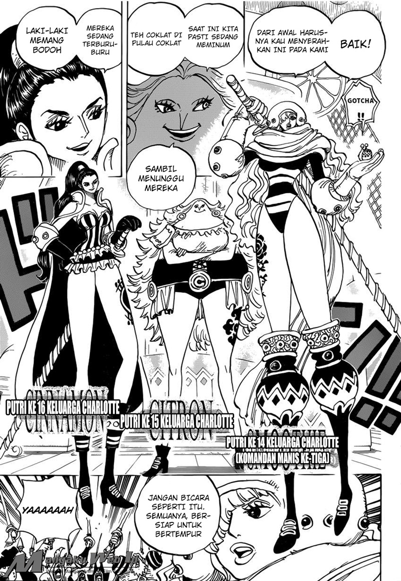 One Piece Chapter 892 11