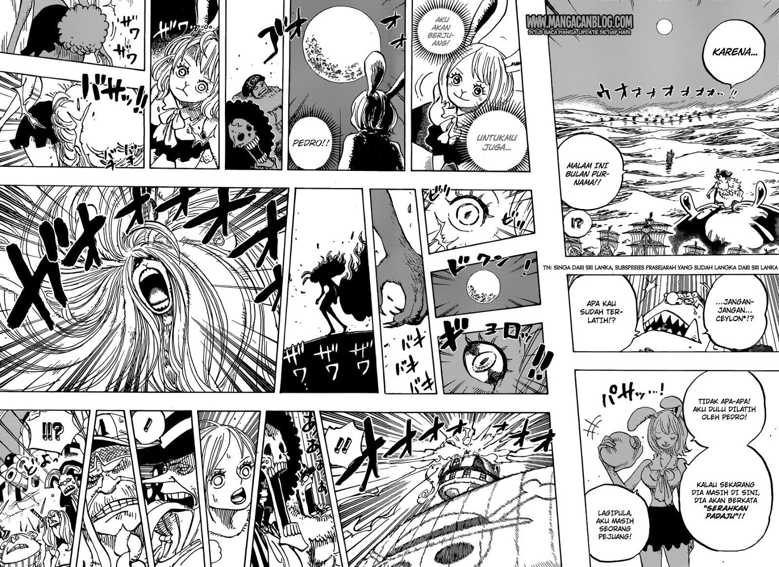 One Piece Chapter 888 Gambar 9