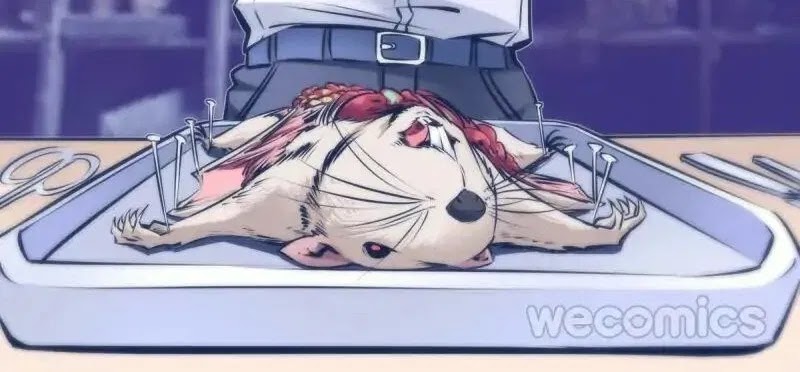 Qin Xia Chapter 72 Gambar 13