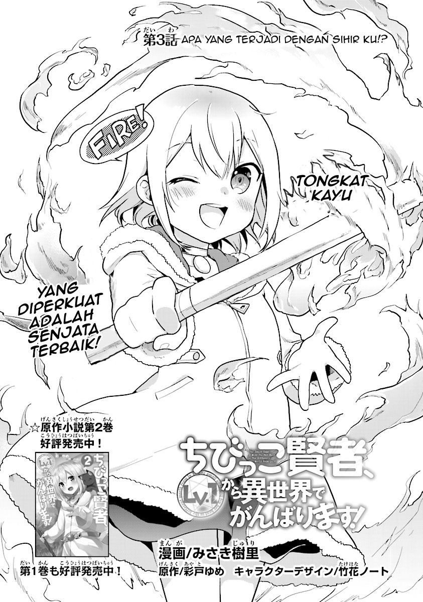 Baca  The Small Sage Will Try Her Best in the Different World from Lv. 1! Chapter 03 Gambar 2