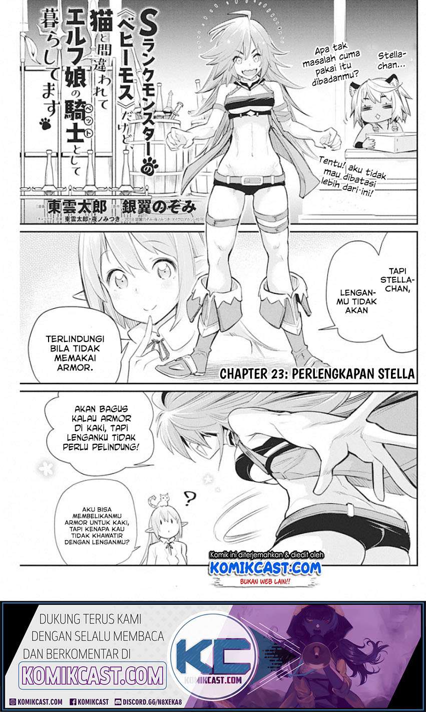 Baca S-Rank Monster no Behemoth Dakedo, Neko to Machigawarete Erufu Musume no Kishi (Pet) Toshite Kurashitemasu Chapter 23 Gambar 2