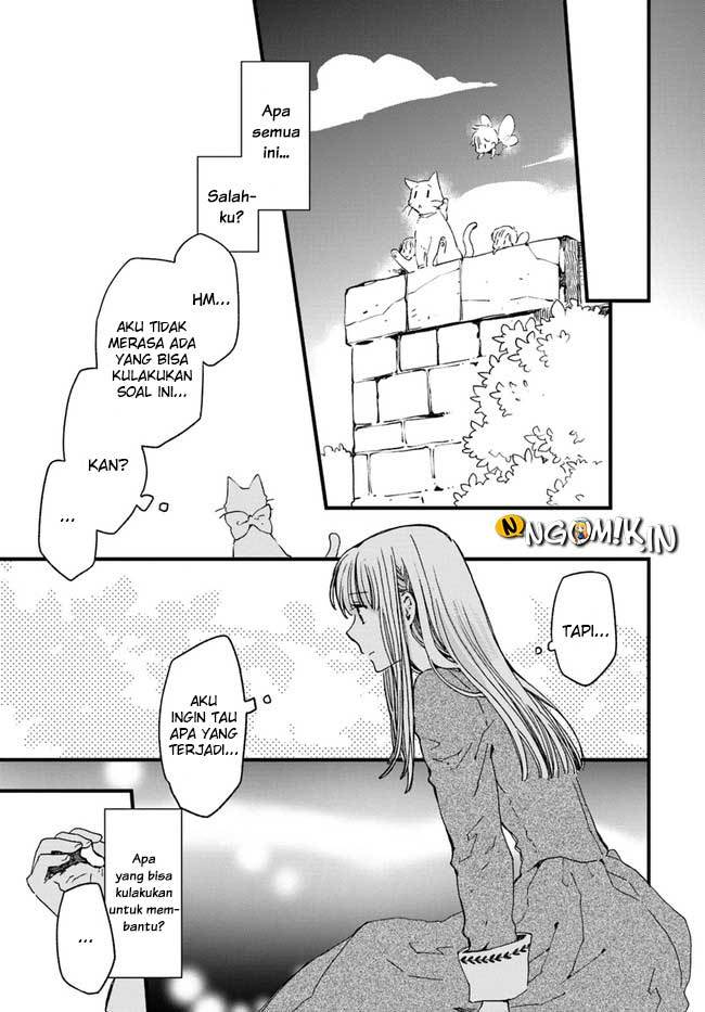 The Vengeful White Cat Lounging on the Dragon King’s Lap Chapter 11 Gambar 14