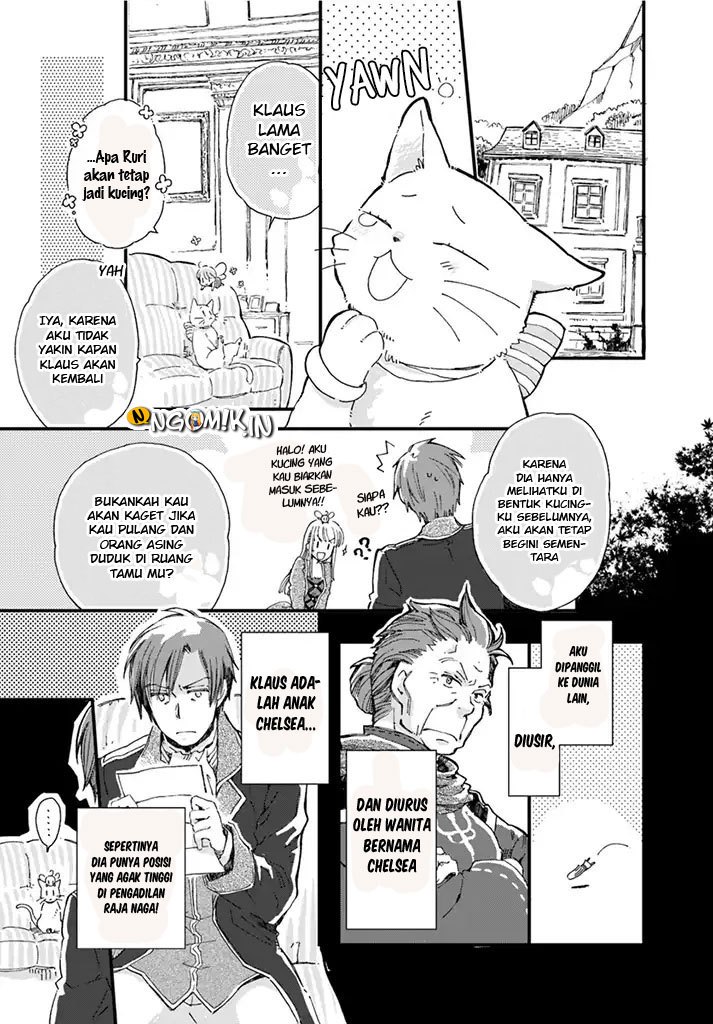 The Vengeful White Cat Lounging on the Dragon King’s Lap Chapter 07 Gambar 4