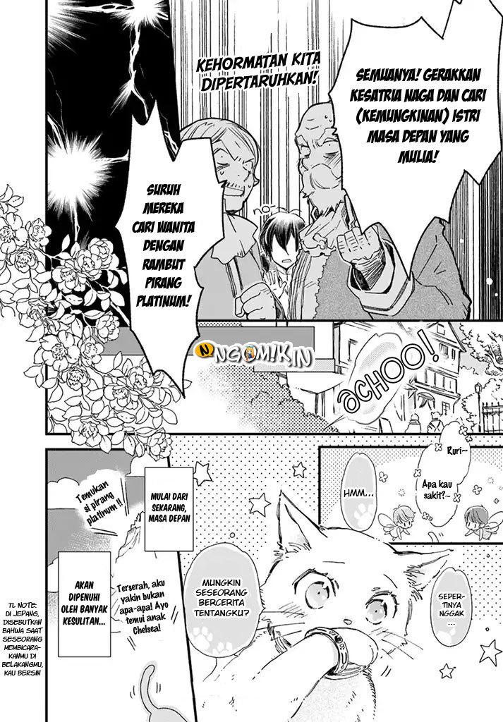 The Vengeful White Cat Lounging on the Dragon King’s Lap Chapter 06 Gambar 29