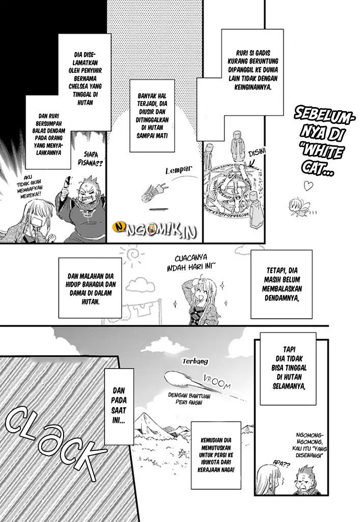 The Vengeful White Cat Lounging on the Dragon King’s Lap Chapter 06 Gambar 3