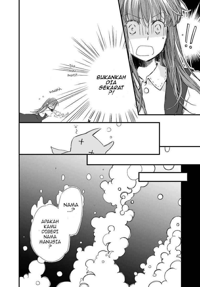 The Vengeful White Cat Lounging on the Dragon King’s Lap Chapter 15 Gambar 9