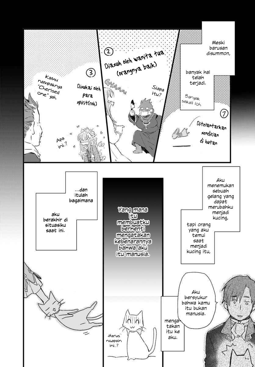 The Vengeful White Cat Lounging on the Dragon King’s Lap Chapter 17 Gambar 5