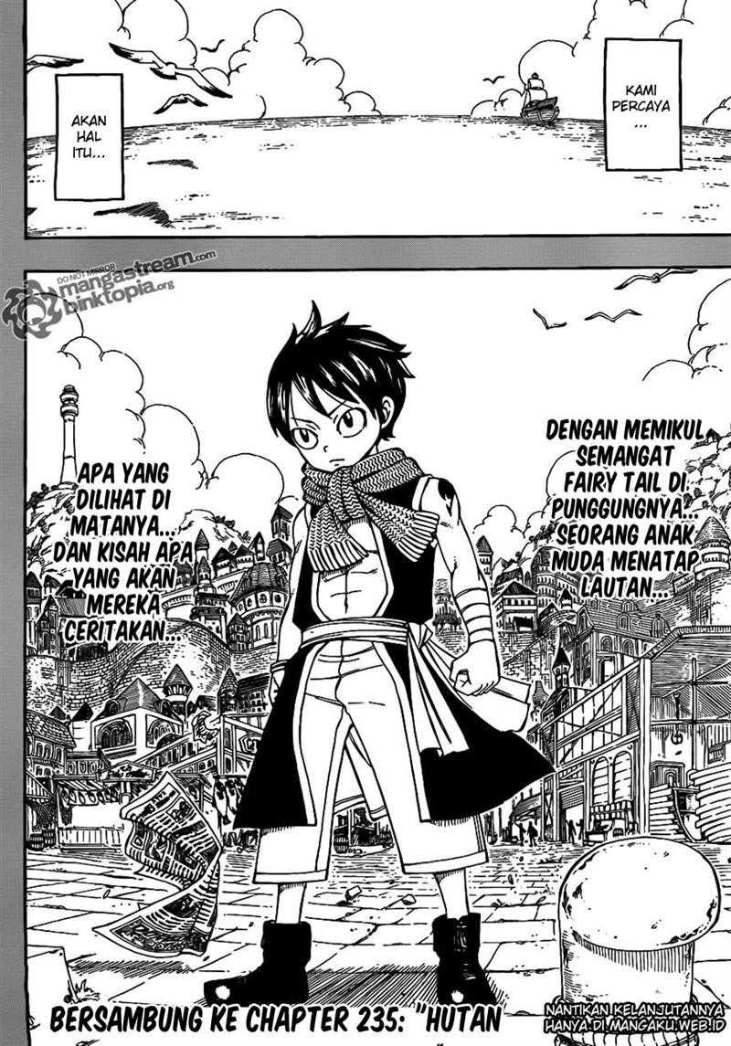 Fairy Tail Chapter 234 Gambar 20