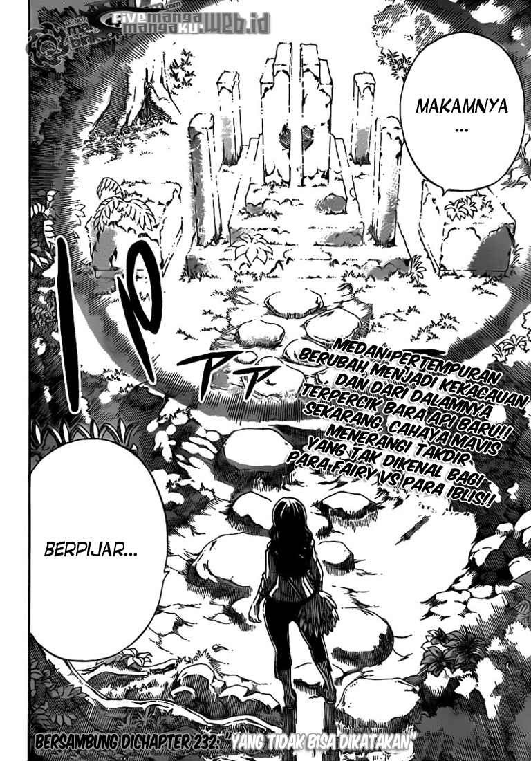Fairy Tail Chapter 231 Gambar 21