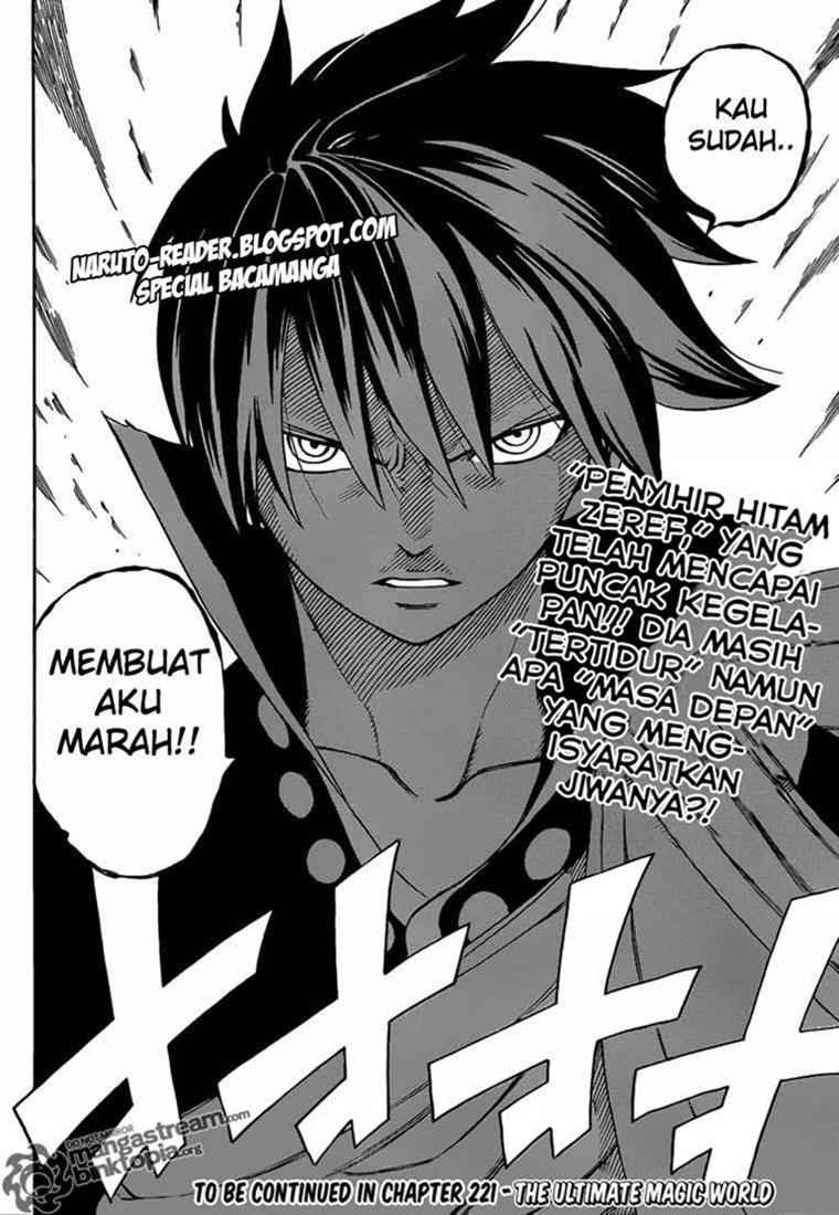 Fairy Tail Chapter 220 Gambar 24