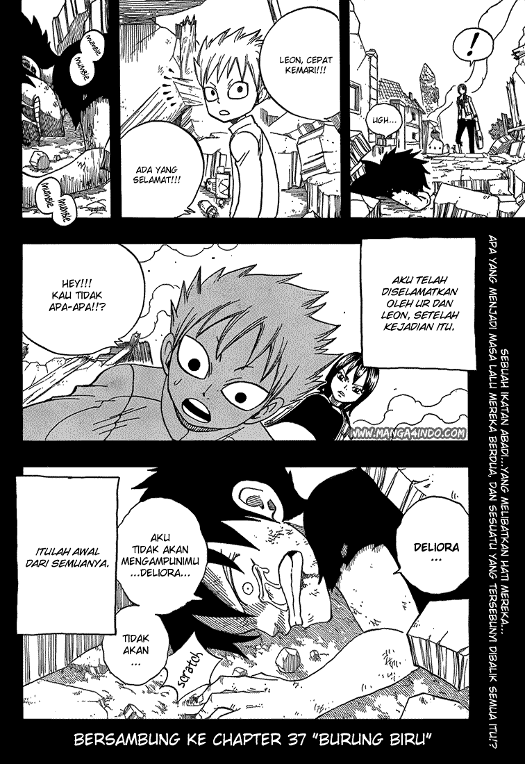 Fairy Tail Chapter 36 Gambar 20