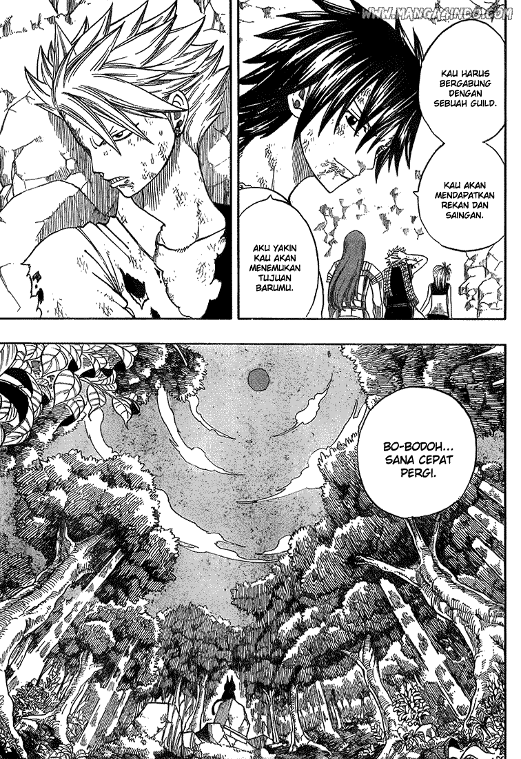 Fairy Tail Chapter 44 Gambar 9