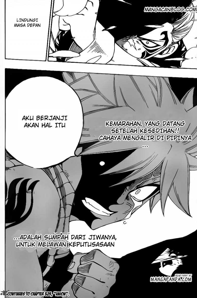Fairy Tail Chapter 324 Gambar 20