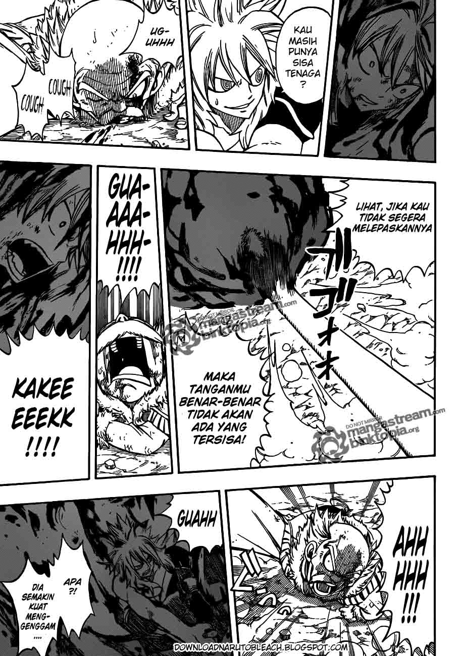 Fairy Tail Chapter 219 Gambar 13
