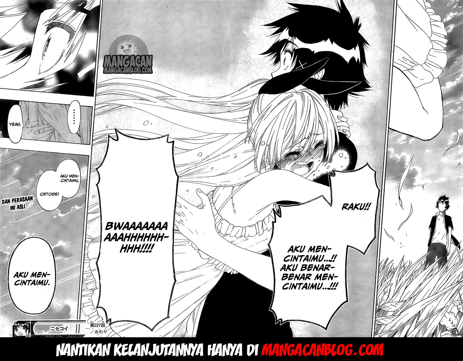 Nisekoi Chapter 227 Gambar 17