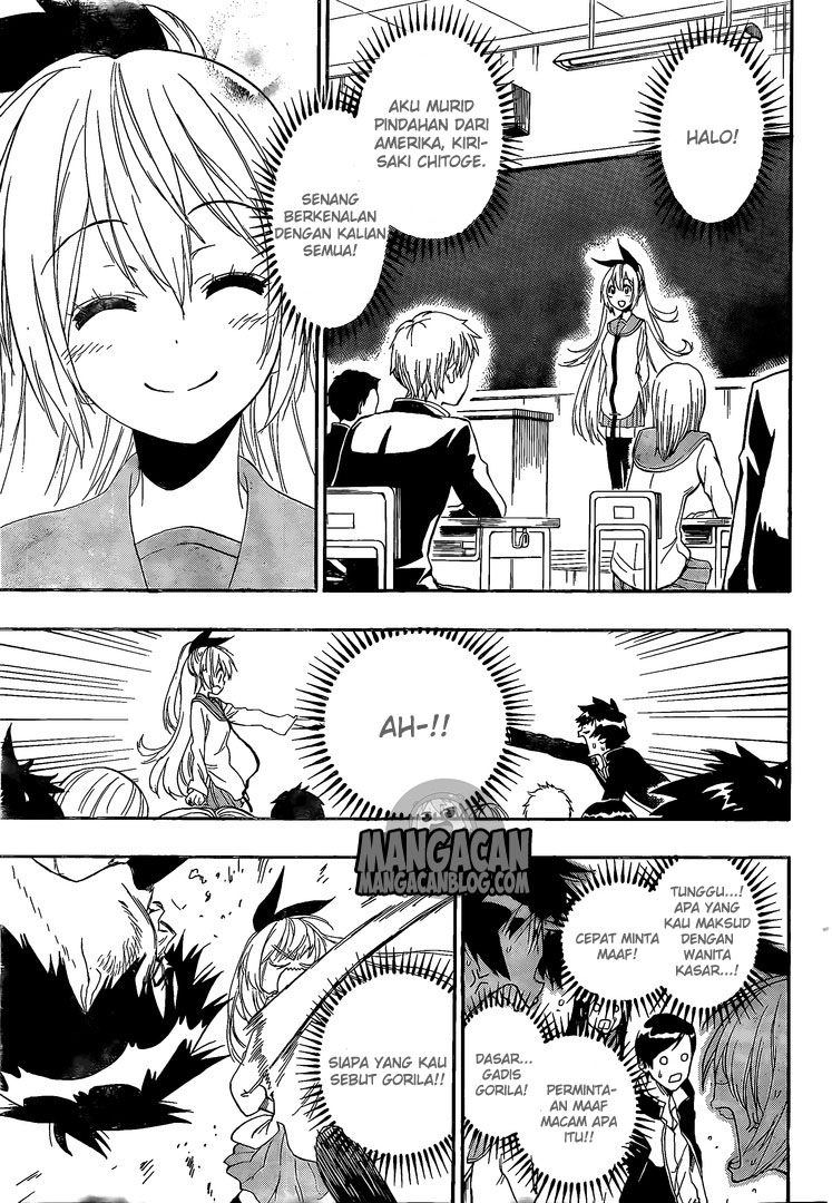 Nisekoi Chapter 227 Gambar 7