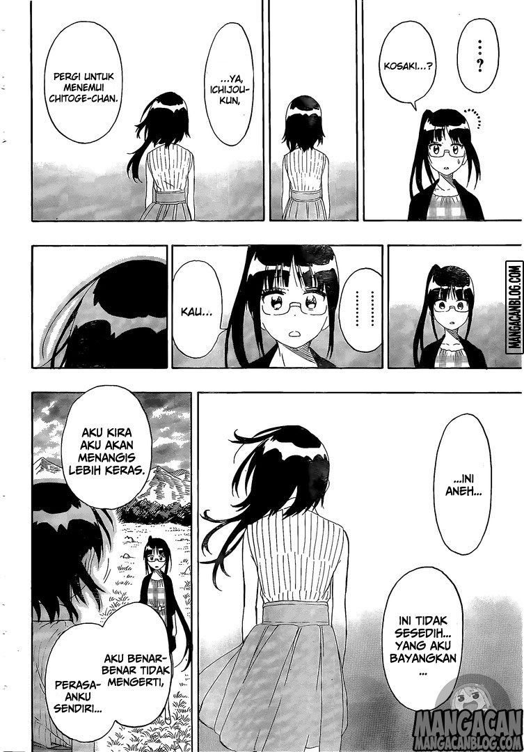 Nisekoi Chapter 226 Gambar 6