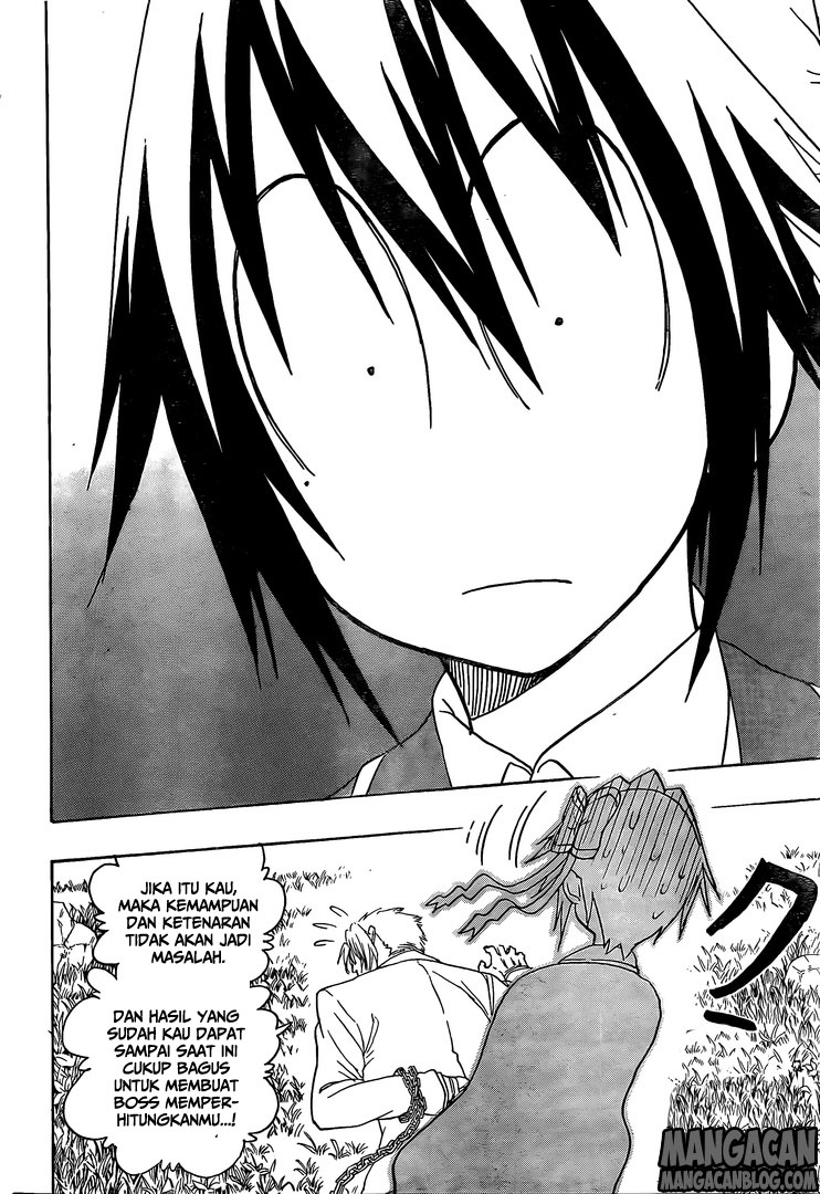 Nisekoi Chapter 223 Gambar 4