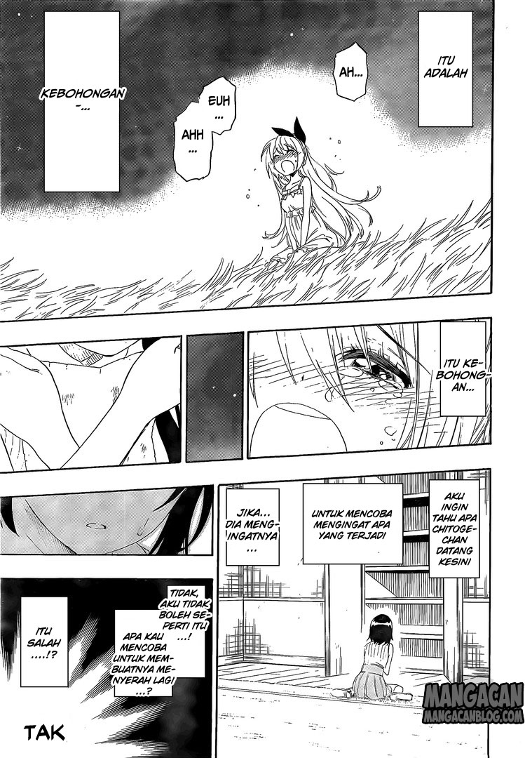 Nisekoi Chapter 222 Gambar 11