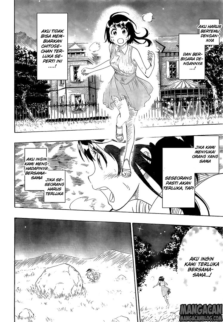 Nisekoi Chapter 222 Gambar 12