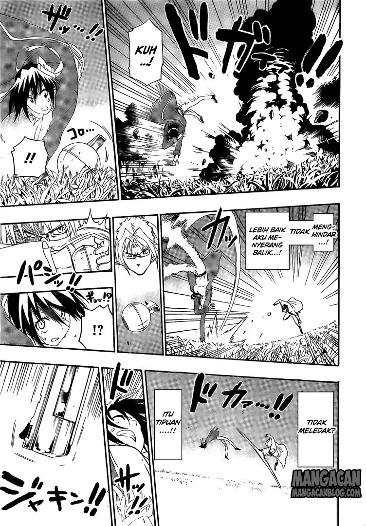 Nisekoi Chapter 222 Gambar 17
