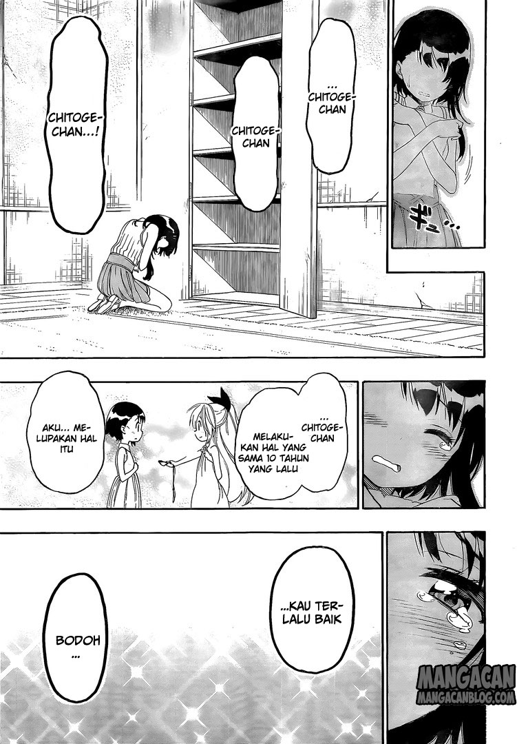 Nisekoi Chapter 222 Gambar 7