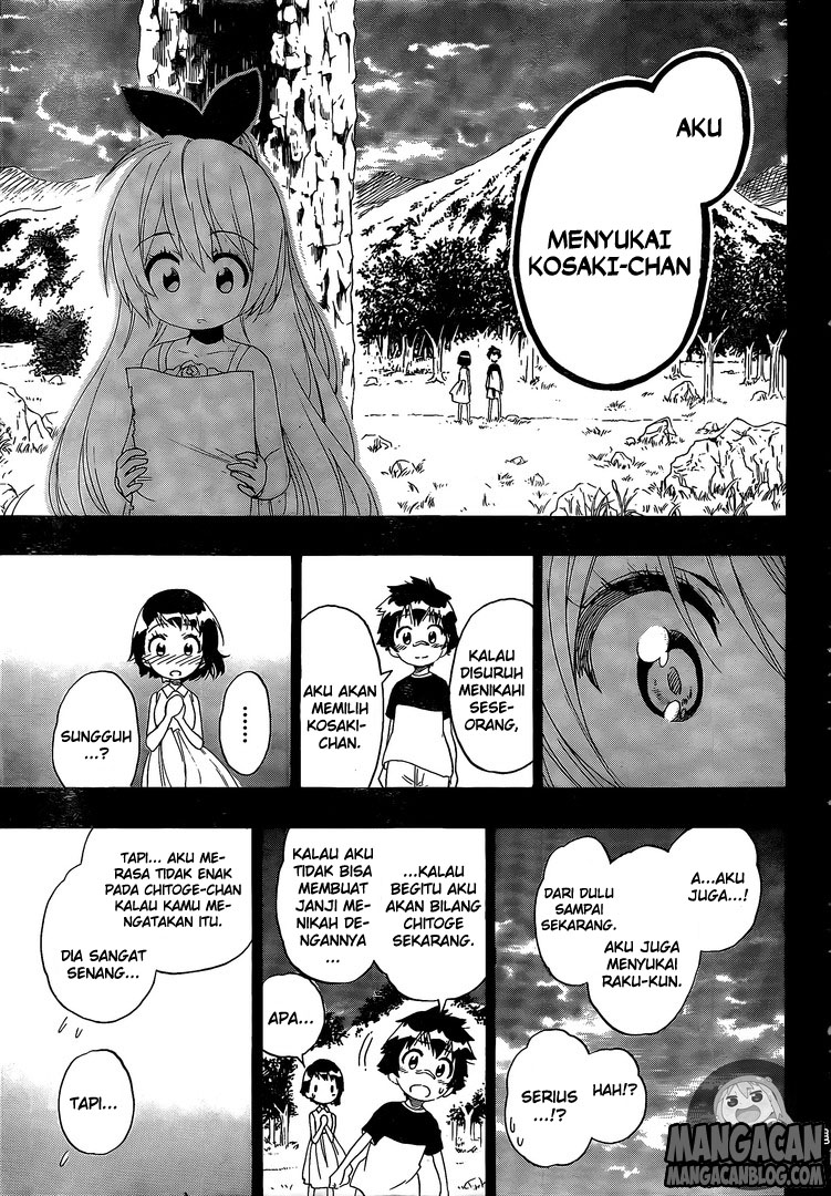 Nisekoi Chapter 221 Gambar 11