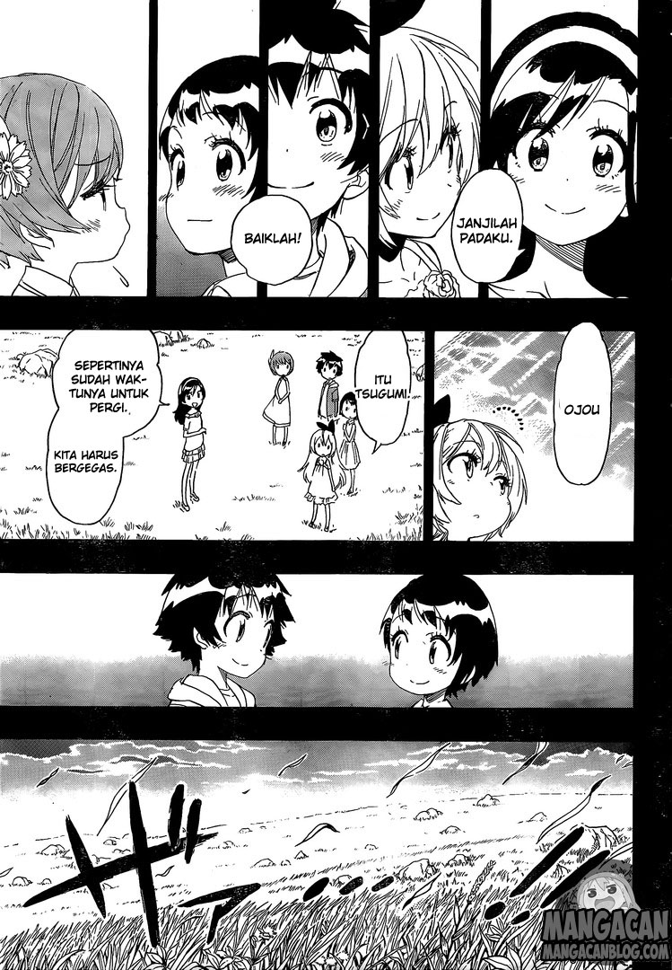 Nisekoi Chapter 221 Gambar 17
