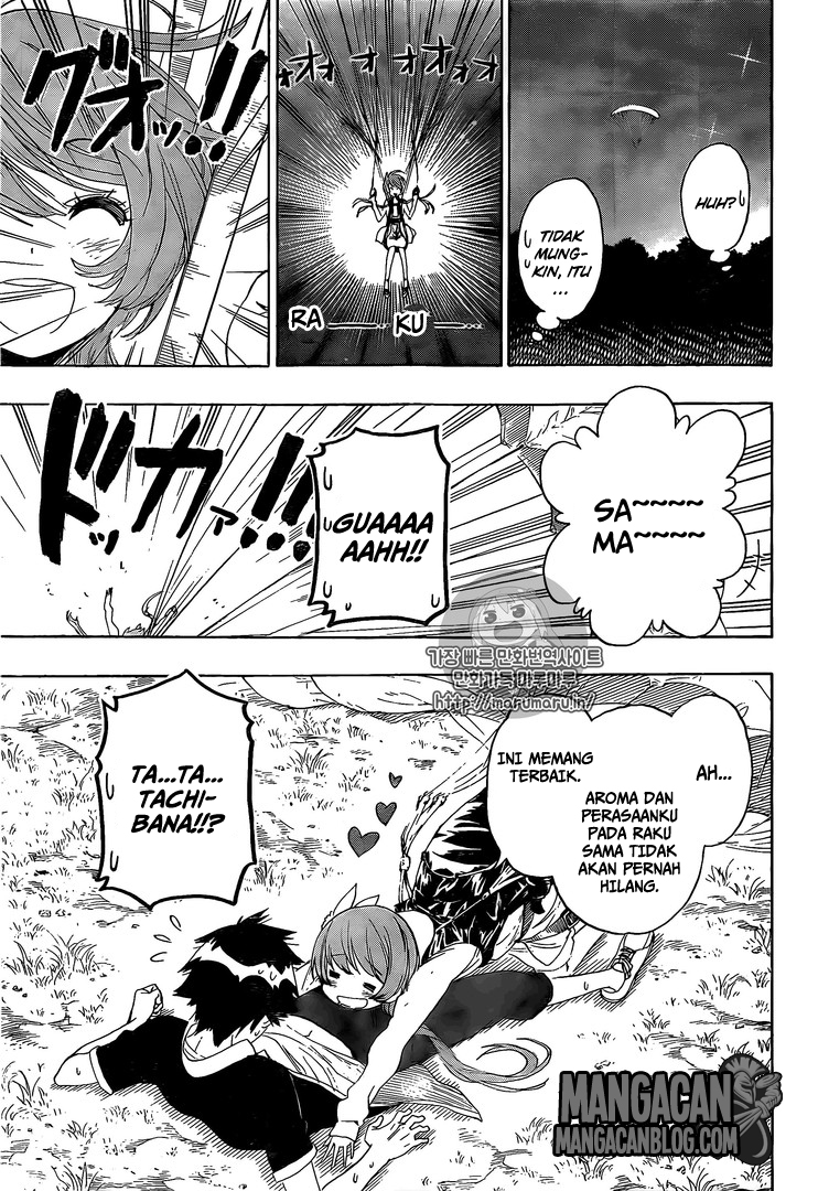 Nisekoi Chapter 219 Gambar 11