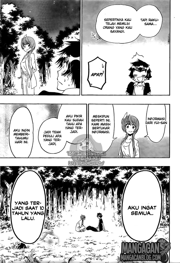 Nisekoi Chapter 219 Gambar 13