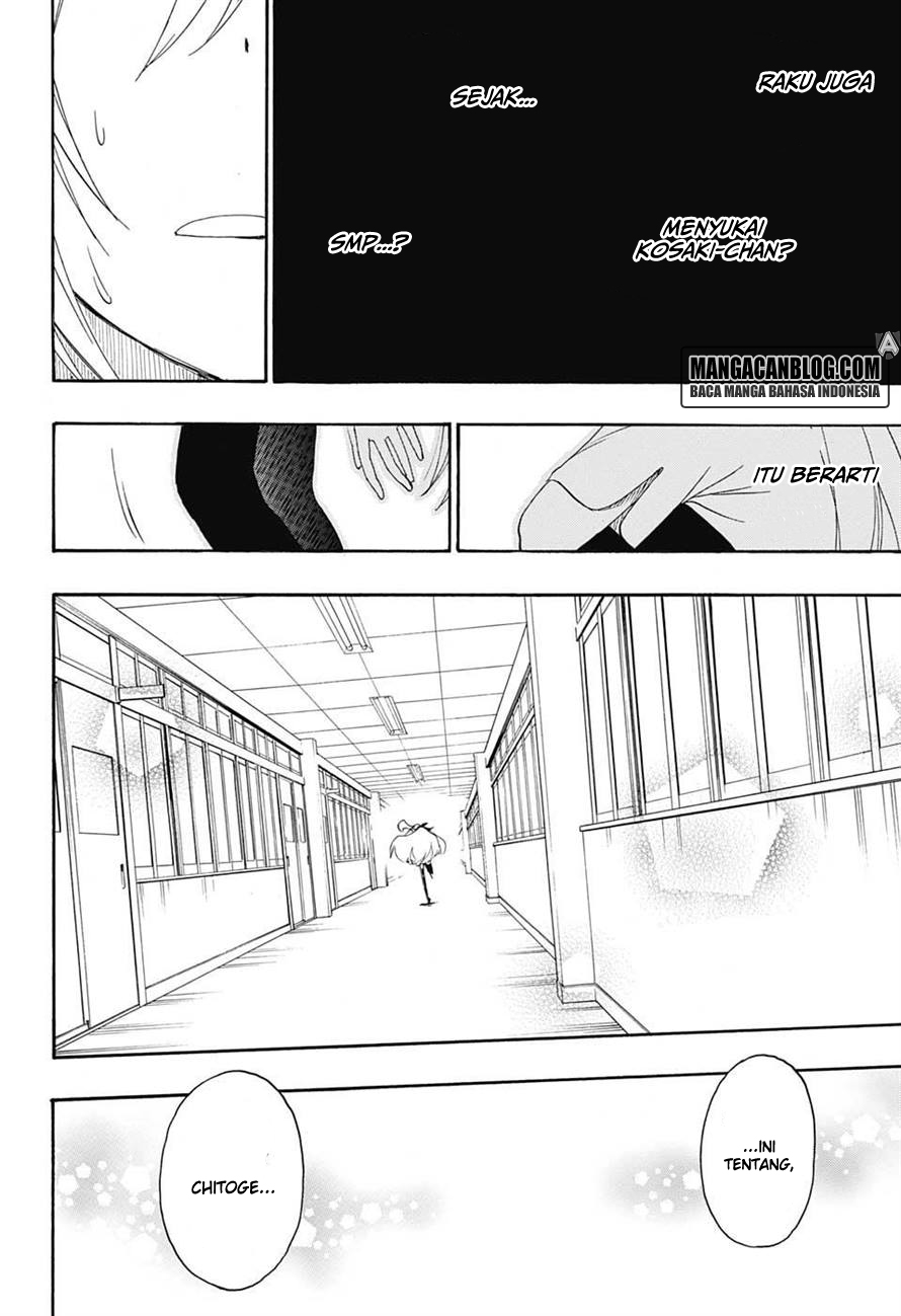 Nisekoi Chapter 212 Gambar 13