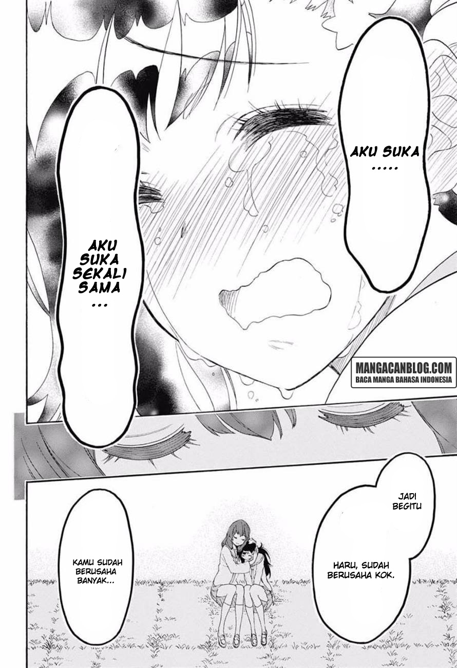 Nisekoi Chapter 203 Gambar 13