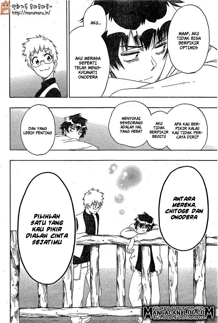 Nisekoi Chapter 200 Gambar 15