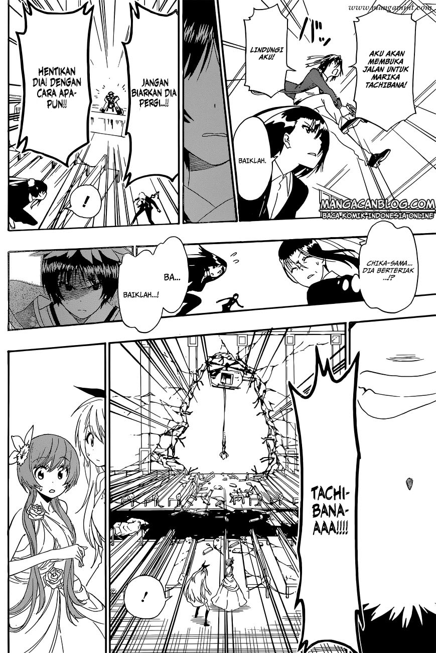 Nisekoi Chapter 193 Gambar 12
