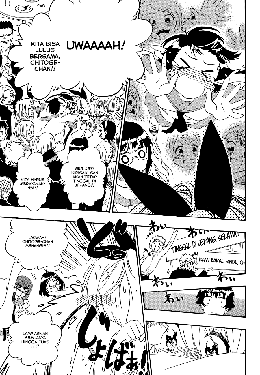 Nisekoi Chapter 162 Gambar 11