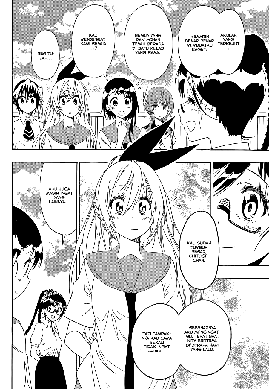 Nisekoi Chapter 120 Gambar 8
